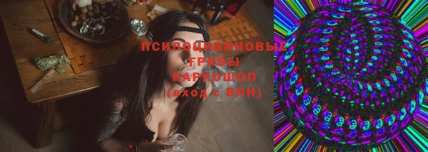 бошки Аркадак