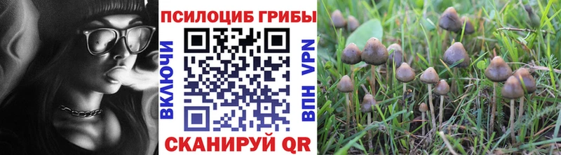 Псилоцибиновые грибы Magic Shrooms  Купить закладки  Биробиджан 