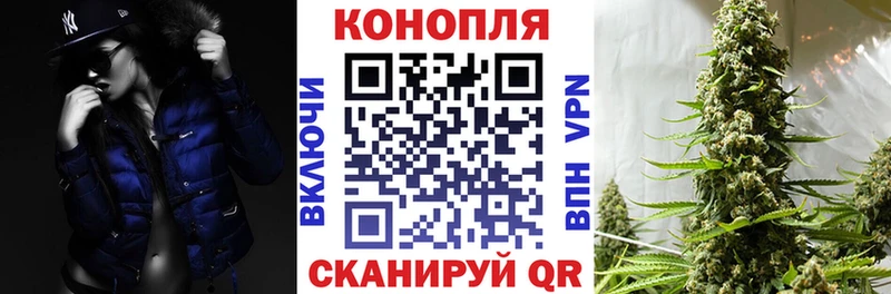 Шишки марихуана план  Купить  Биробиджан 